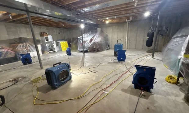 Basement Mold Cleanup in Eastvale, CA