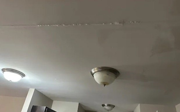 Ceiling Mold Removal in Banning, CA