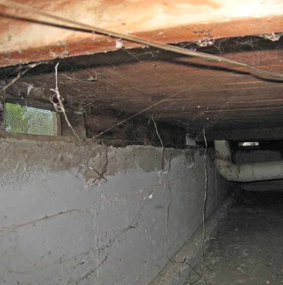 Crawlspace Mold Remediation in Pedley, CA