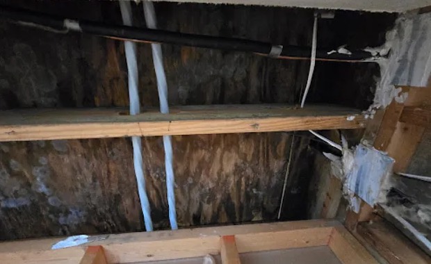 Attic Mold Removal in San Jacinto, CA