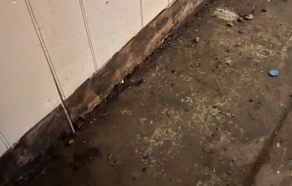 Biohazard Cleanup Services in Corona, CA