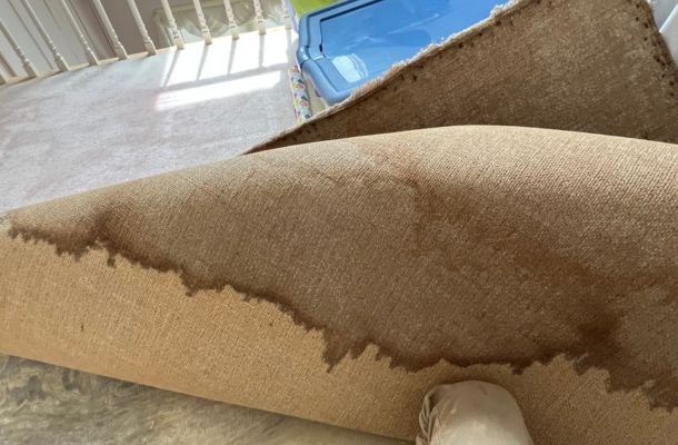 Water Damage, Fire Damage & Mold Remediation Experts in Moreno Valley, California